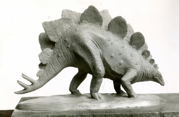Gilmore-Stegosaurus