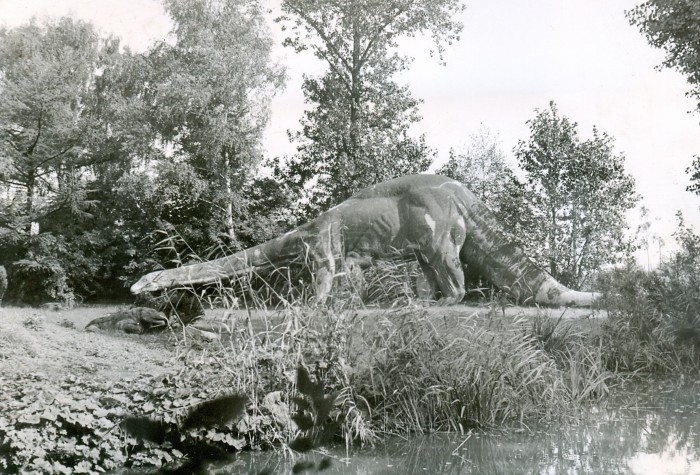 Pallenberg-Diplodocus-700x475