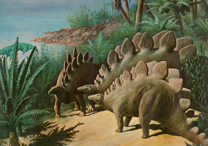 Stegosaurus group