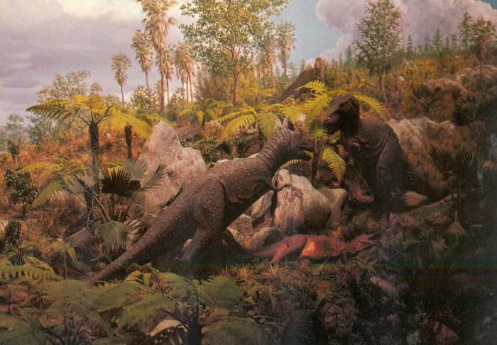 Gorgosaurus diorama