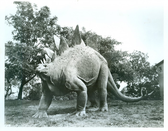 Stegosaurus