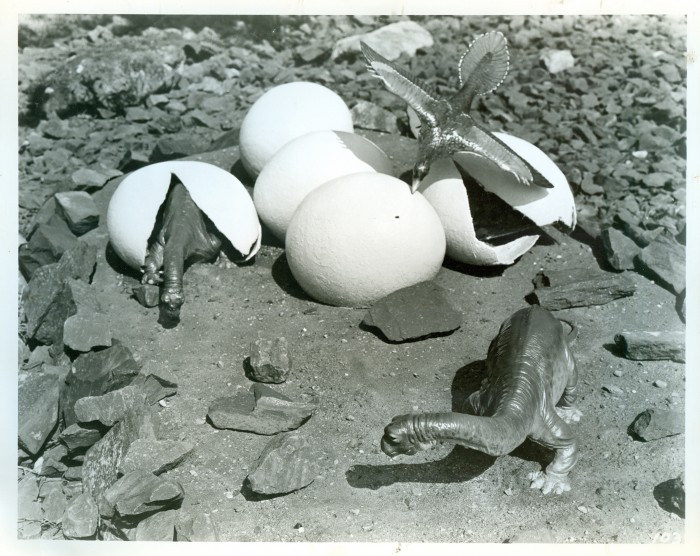 hatching dinosaurs