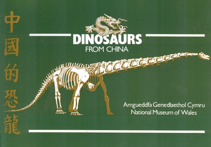 Mamenchisaurus skeleton