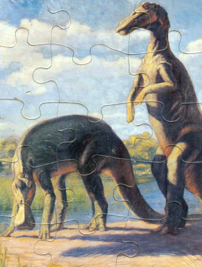 Edmontosaurus puzzle postcard